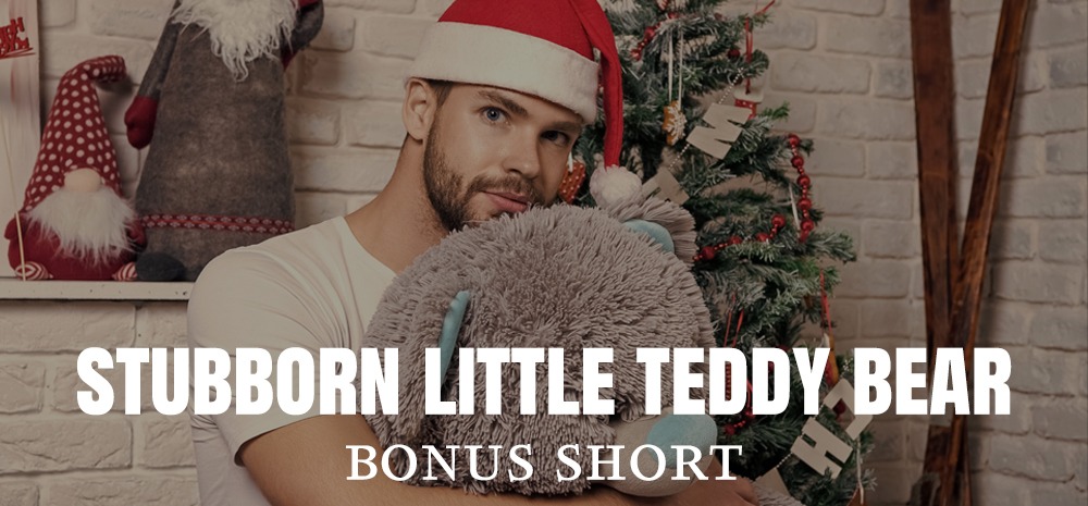 Stubborn Little Teddy Bear - Bonus Short - Blog post by Shaw Montgomery MA Innes